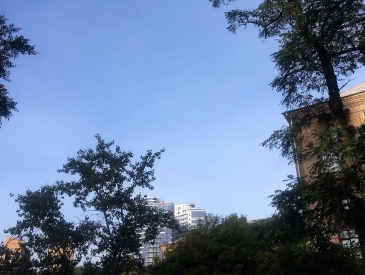 фото 1 Alter Ego Коммерческая недвижимость